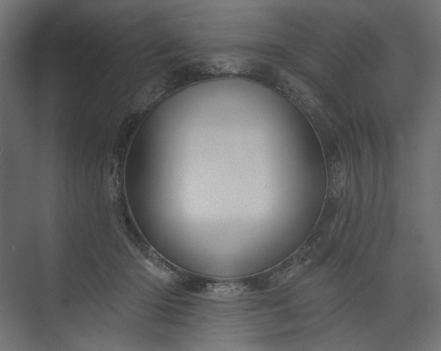 X0000073910414200608251528