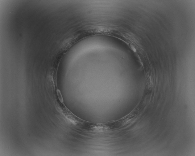 X0000073910415200608251528