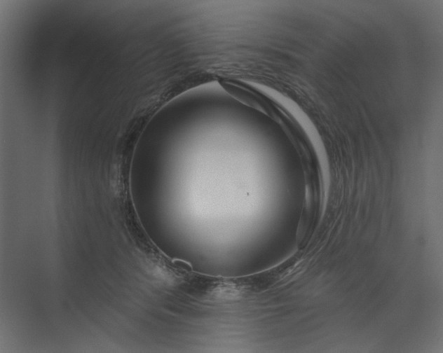 X0000073910416200608251528