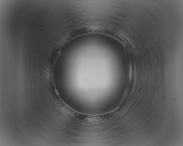 X0000073910417200608251528