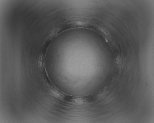 X0000073910423200608251528