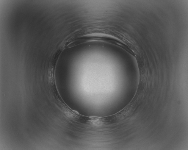 X0000073910425200608251528