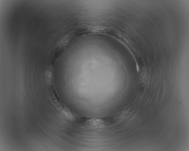 X0000073910427200608251528