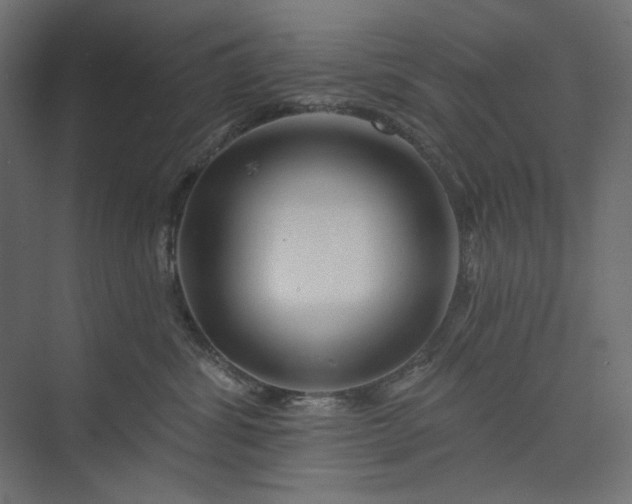 X0000073910428200608251528