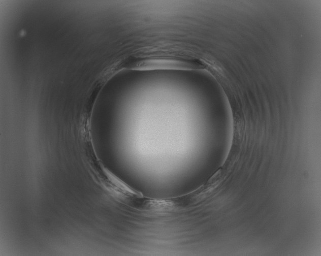 X0000073910429200608251528