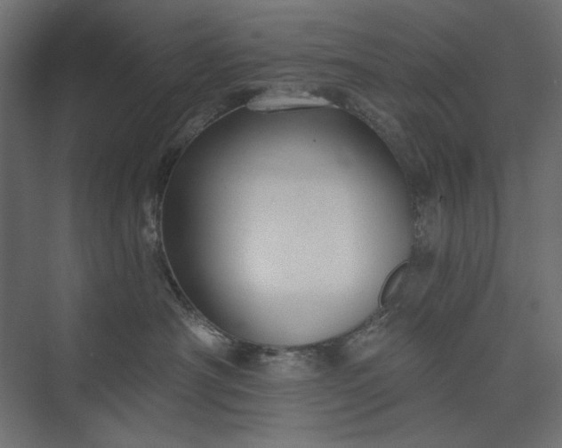 X0000073910430200608251528