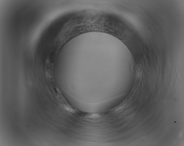 X0000073910431200608251528