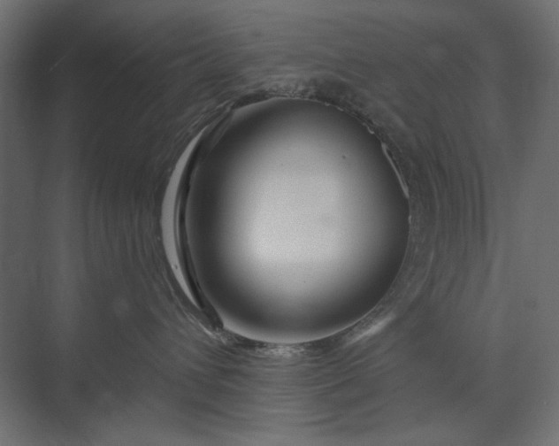 X0000073910432200608251528