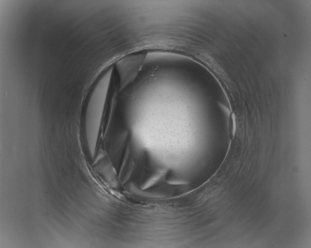 X0000073910434200608251527