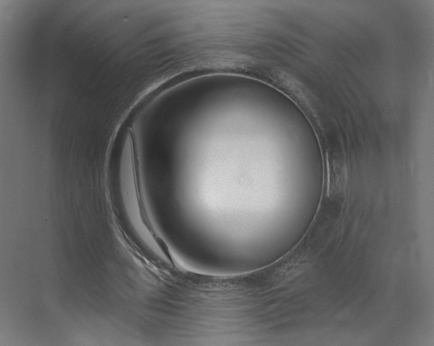 X0000073910435200608251527