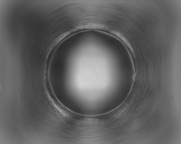 X0000073910437200608251527
