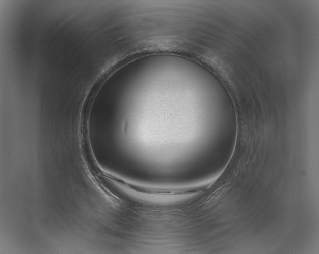 X0000073910439200608251527