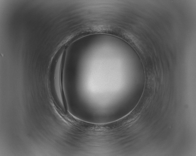 X0000073910443200608251527