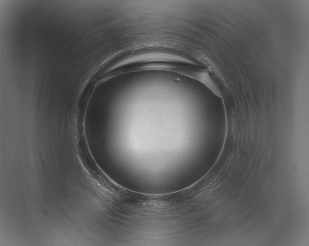 X0000073910444200608251527