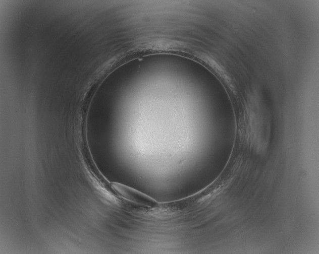 X0000073910445200608251527