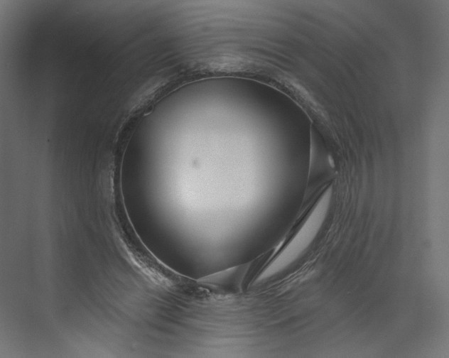X0000073910446200608251527