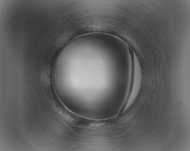 X0000073910450200608251528