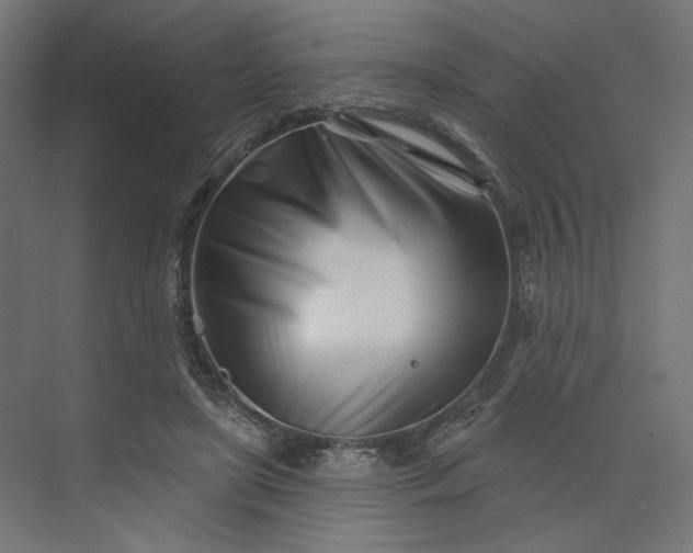 X0000073910451200608251528
