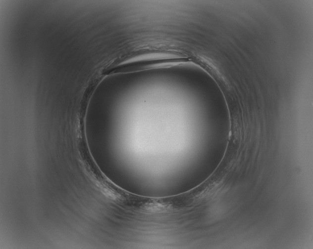 X0000073910453200608251528