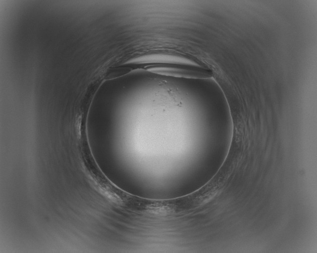 X0000073910454200608251528