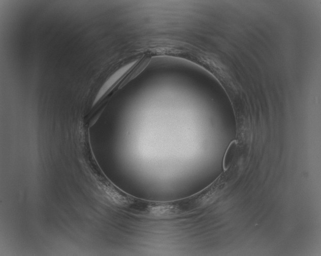 X0000073910461200608251528
