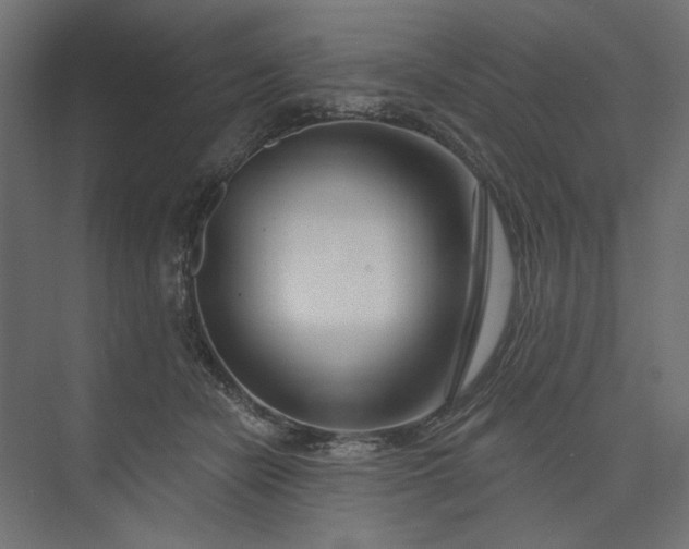 X0000073910462200608251528