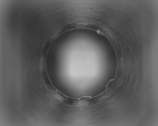 X0000073910463200608251528