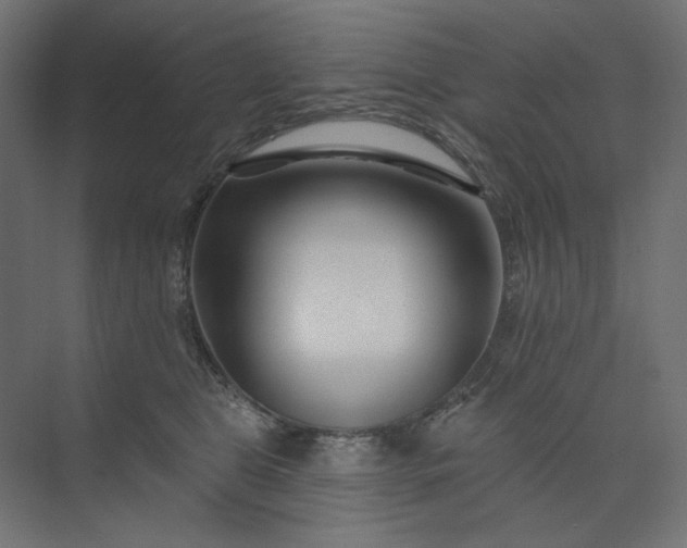 X0000073910469200608251528