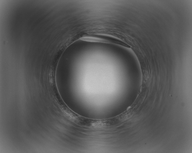 X0000073910470200608251528