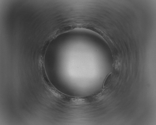 X0000073910476200608251528