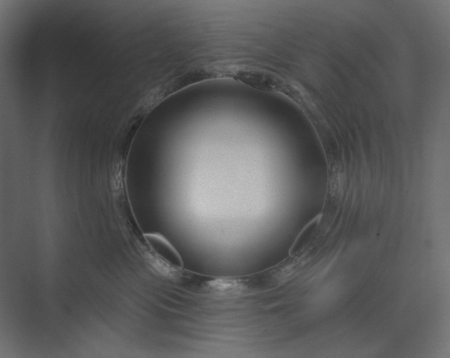 X0000073910477200608251528