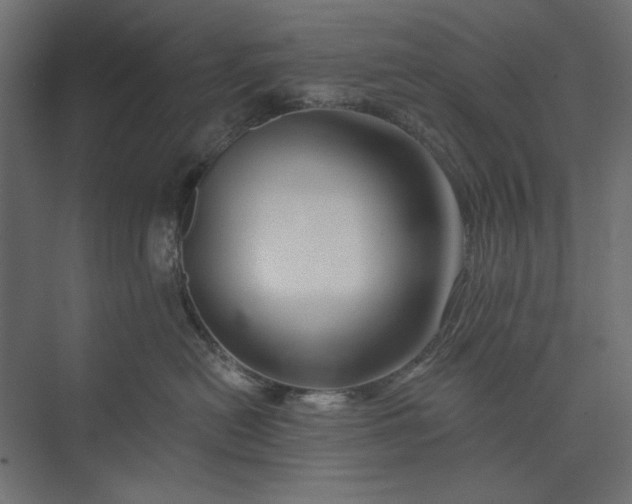X0000073910478200608251528