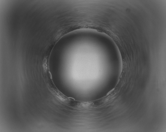 X0000073910479200608251528