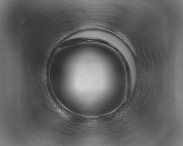 X0000073910485200608251527