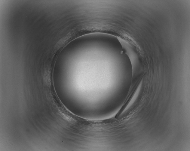 X0000073910489200608251527