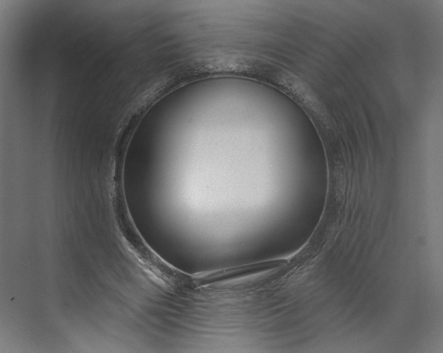 X0000073910490200608251527