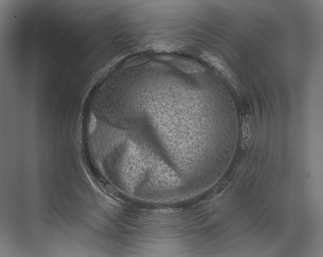 X0000073910492200608251527