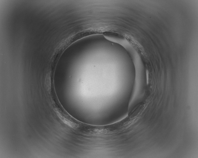 X0000073910493200608251527