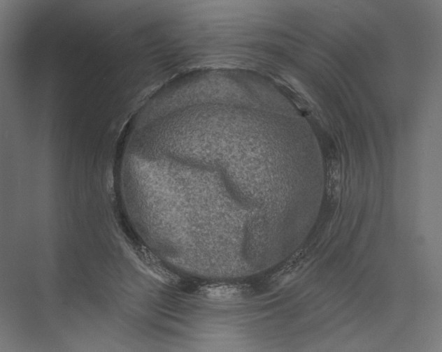 X0000073910500200608251527