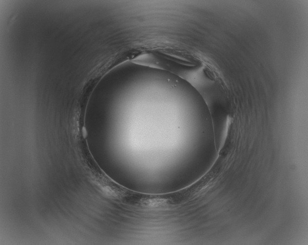 X0000073910501200608251527