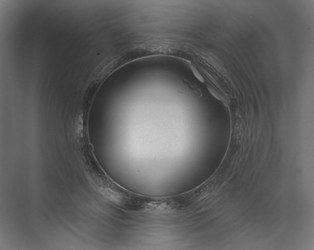 X0000073910502200608251527