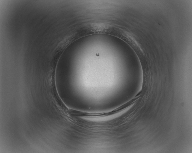 X0000073910505200608251527