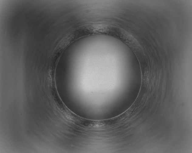 X0000073910506200608251527