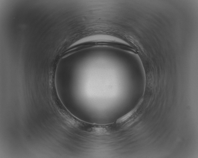 X0000073910509200608251527