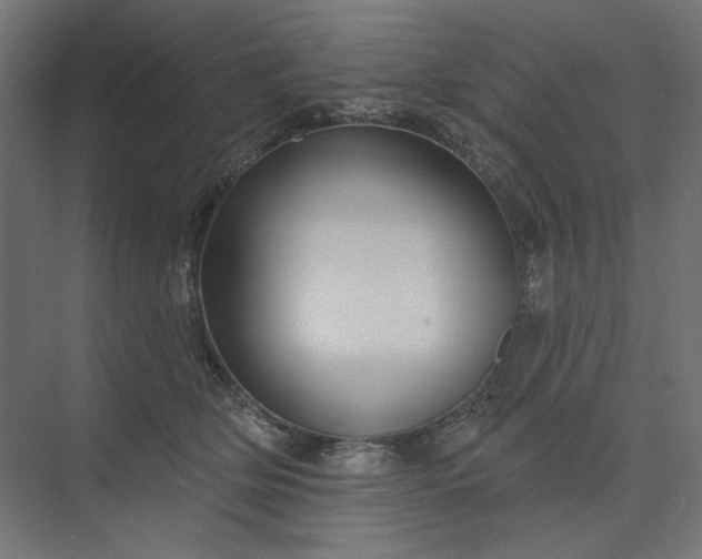 X0000073910514200608251527