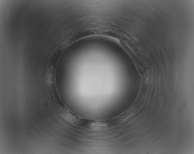 X0000073910515200608251527