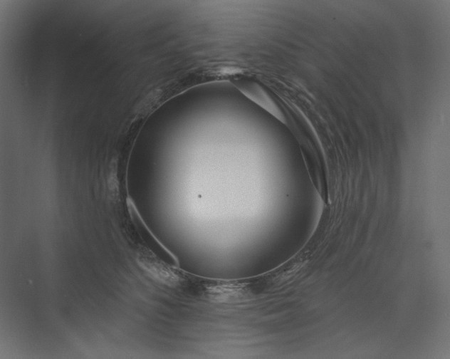 X0000073910516200608251527