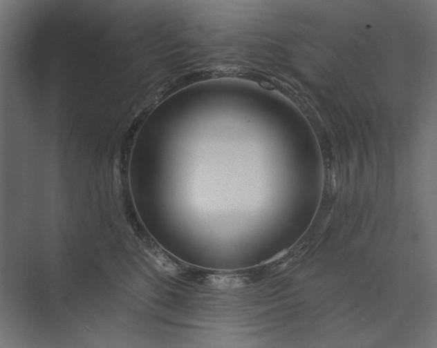 X0000073910520200608251527