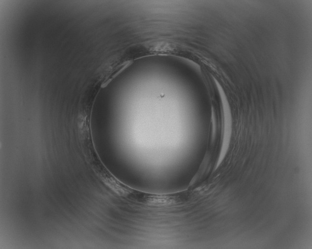 X0000073910521200608251527