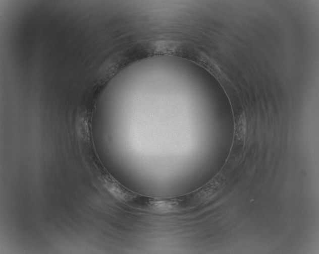 X0000073910522200608251527